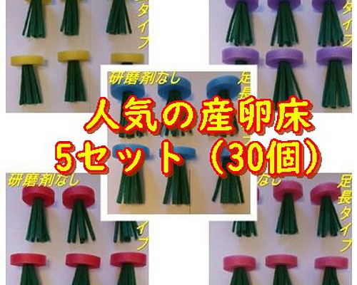 メダカ 産卵床(全五色)足長 ※研磨剤不使用 おもちゃ・ペット小物 ちゃ