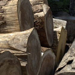 『栗の木』和モダンダイニングテーブル 幅160cm 1枚目の画像