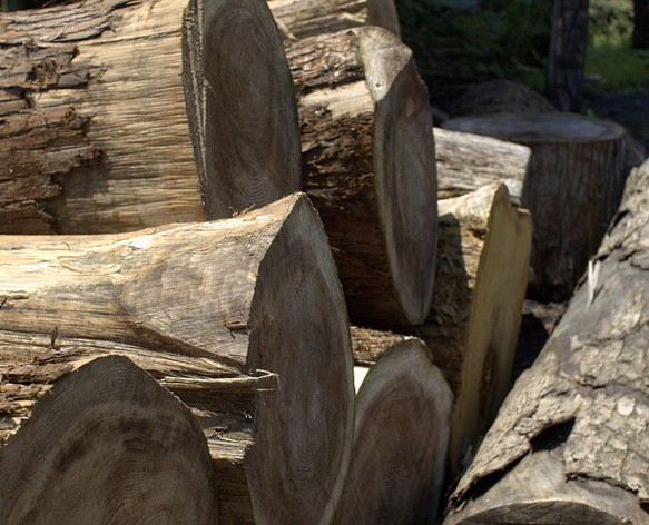 『栗の木』和モダンダイニングテーブル 幅160cm 1枚目の画像