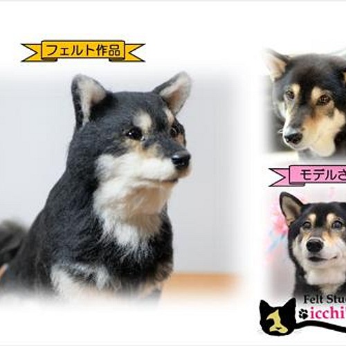 今年人気のブランド品や オーダーメイド うちの子そっくり人形羊毛フェルト ぬいぐるみ オーダー 犬 猫 キジトラ ブラックタン チワワ フェルト 羊毛 Wingsthingsandpizzas Com