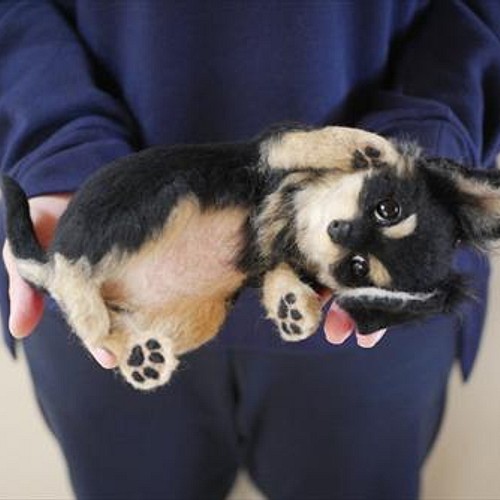 今年人気のブランド品や オーダーメイド うちの子そっくり人形羊毛フェルト ぬいぐるみ オーダー 犬 猫 キジトラ ブラックタン チワワ フェルト 羊毛 Wingsthingsandpizzas Com