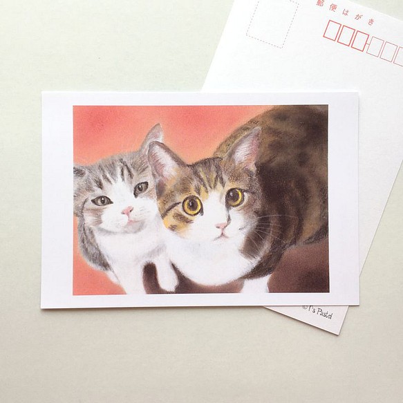 １２４　選べるポストカード　見上げる猫ズ　5枚セット 1枚目の画像