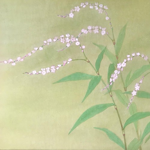 花 絵 植物画 癒し 優しい インテリア 額入り 日本画 『クリスマス