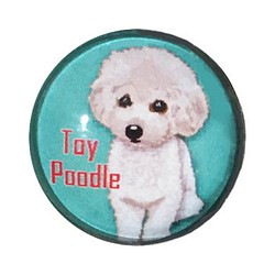 ピンバッジ トイプードル ピンバッチ ピンズ犬 ケース付き 1枚目の画像