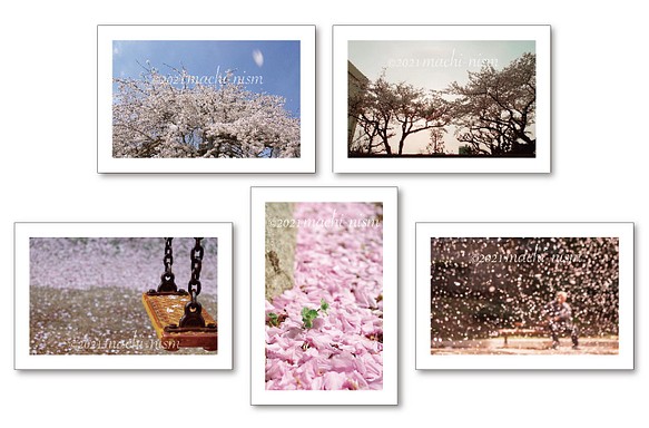 【桜 cherry】 『桜ハンドメイド202１』オリジナルフォト ポストカード５枚組 1枚目の画像