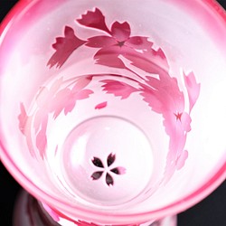 舞桜のタンブラー グラス 1枚目の画像