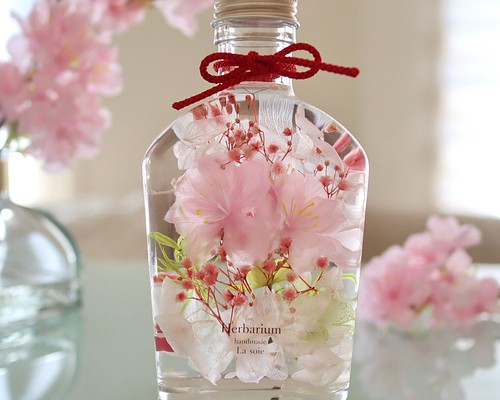 桜SAKURAハーバリウム／手のひらでお花見