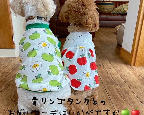犬服‼︎レースニットと赤リンゴのワンピ☆XS.S.M ペット服