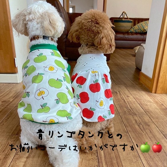 わんこ服 りんご⭐︎スター Mサイズ - 犬用品