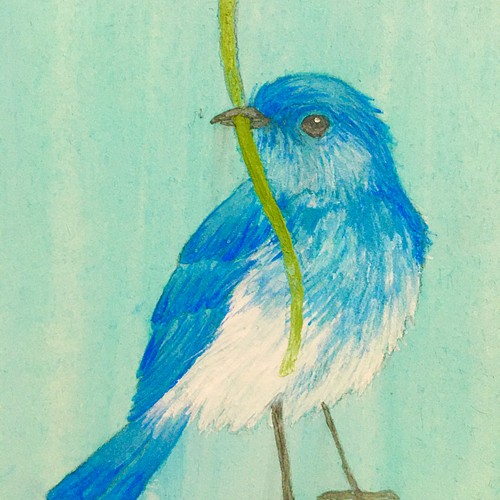 日本画 鳥の絵 水彩画 古美術-