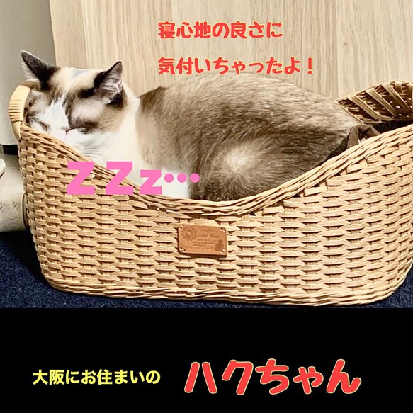 省スペース 洗える おしゃれ 可愛い猫ちゃんバスケット 確認用