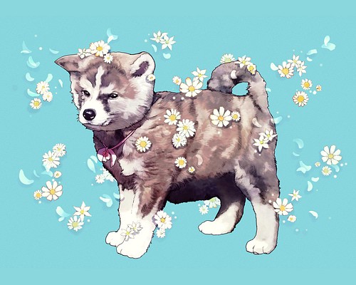 ペットのイラストオーダー/犬や猫の似顔絵 イラスト ふゆう 通販 