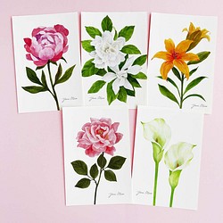 花卉明信片，5 件套 | 玫瑰、百合、牡丹、梔子花、彩色 第1張的照片