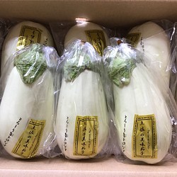 高知県産なすび 1.8kg（約２０本前後） 野菜 kagayaki 通販｜Creema 