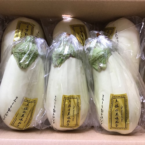 高知県産 白ナス 6本 野菜 Kagayaki 通販 Creema クリーマ ハンドメイド 手作り クラフト作品の販売サイト