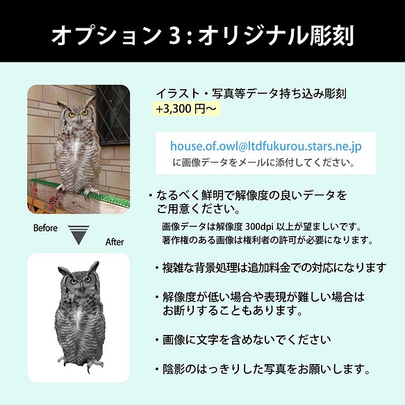 新型 ふくろう用輸送箱（キャリーケース） 「Owl shipping box」XL