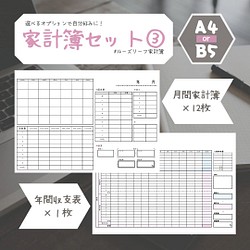 A4・B5】オプションシート＊ルーズリーフ家計簿【ハンドメイド 
