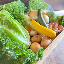 たまごと初夏の野菜セット【8種類・Mサイズ】 1枚目の画像
