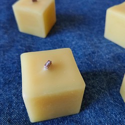 木芯キャンドル bees wax(CUBE) 4個セット 1枚目の画像
