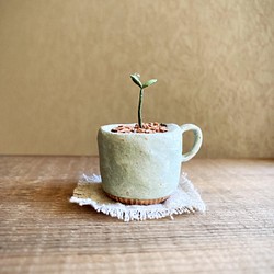 7019.bud 粘土の鉢植え マグカップ 1枚目の画像