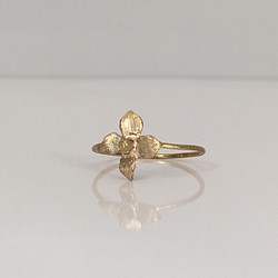 黃銅戒指“魚腥草” 第1張的照片