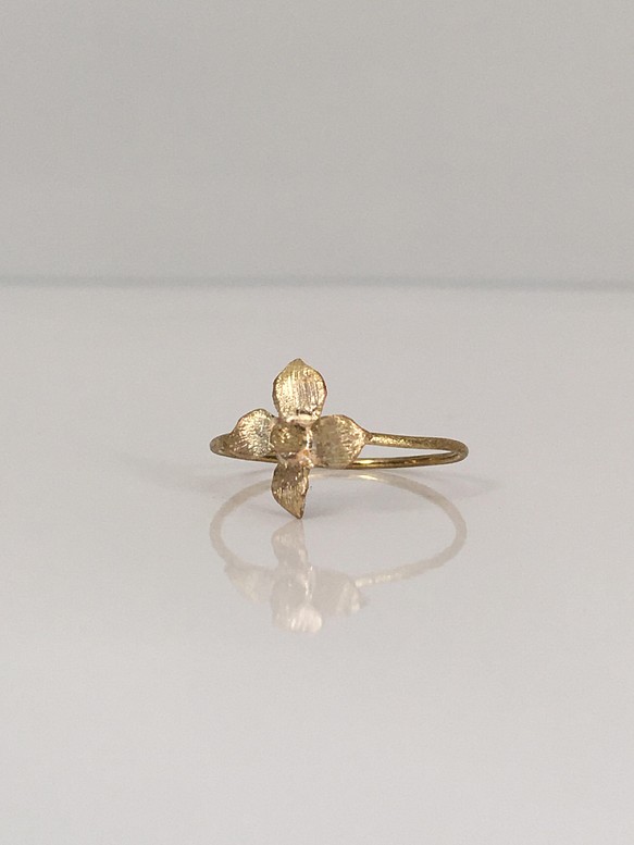 黃銅戒指“魚腥草” 第1張的照片