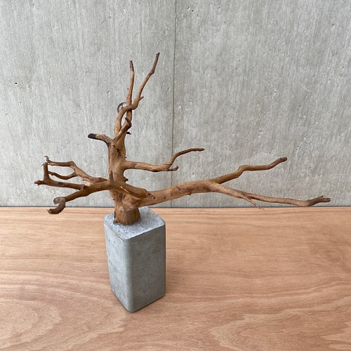 コンクリート盆栽 (mini tree b-2) 流木 オブジェ ディスプレイ 高級感