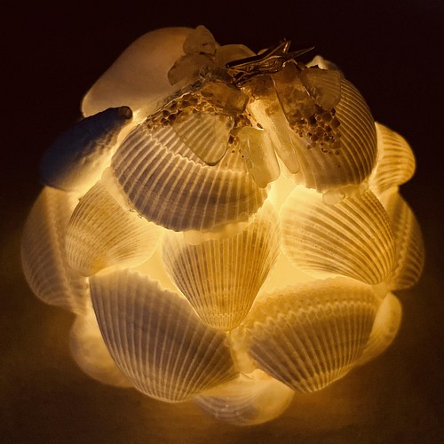 白い貝殻の小さなシェルランプ 照明（ライト）・ランプ 華屋 通販 