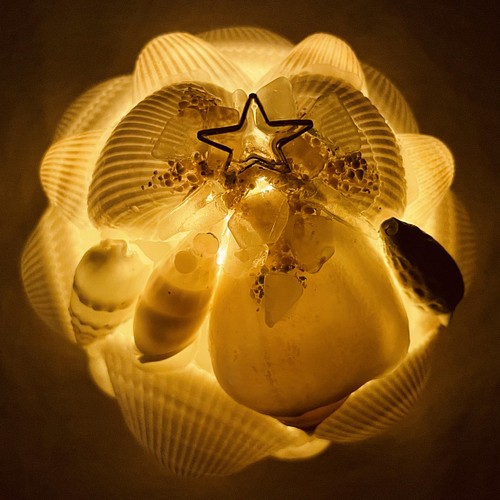 白い貝殻の小さなシェルランプ 照明（ライト）・ランプ 華屋 通販 