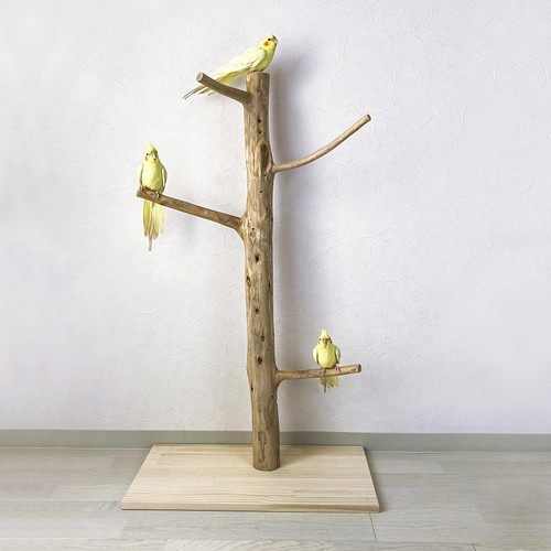流木の止まり木】鳥 大型バードスタンド 高さ約99cm 人気のツリー型 