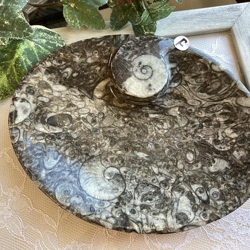 アンモナイト化石 お皿（オーバル型） F 天然石 マスカレード 通販