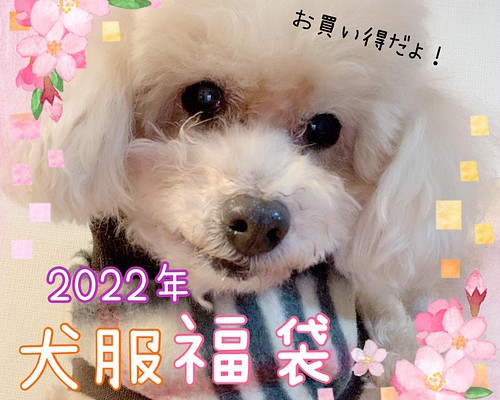 2022年犬服福袋♡♡パーカー/タンクトップ/長袖/コート/ハイネック