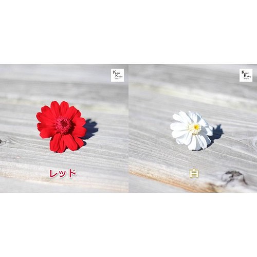 ❀花材セット ブルー❀ Ｎｏ．299 - プリザーブドフラワー