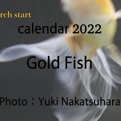 2022年 金魚 卓上カレンダー　3月始まり(March start calendar2022 Gold Fish) 1枚目の画像