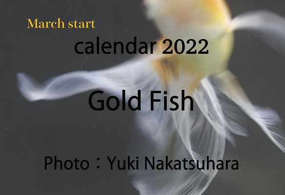 2022年 金魚 卓上カレンダー　3月始まり(March start calendar2022 Gold Fish) 1枚目の画像