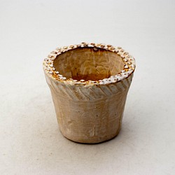 陶器製（2号ポット相当）多肉植物の欲しがる植木鉢 NSSS-1446 1枚目の画像