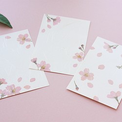本物の桜のポストカード3枚セット　押し花ハガキ　縦でも横でも使える　手すき和紙調　春のボタニカルカード 1枚目の画像