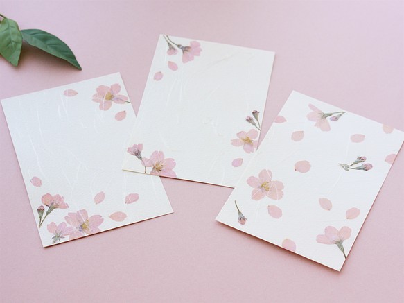 本物の桜のポストカード3枚セット　押し花ハガキ　縦でも横でも使える　手すき和紙調　春のボタニカルカード 1枚目の画像