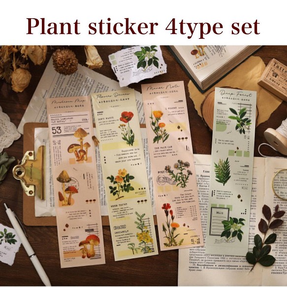 クリアタイプの植物デザインシールシート・4種セット 1枚目の画像