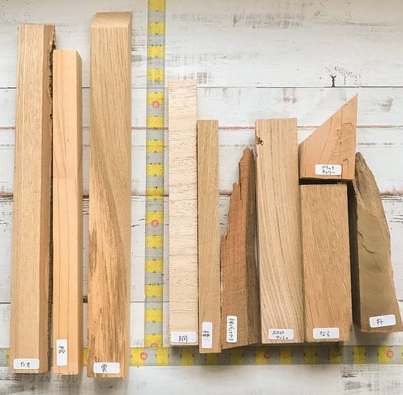 ◍10種10個『ゴロゴロ端材set＋朴』送料込：色々樹種・木材端材セット