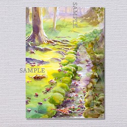 風景画　A4サイズ　透明水彩　アートポスター　癒し　『苔庭に木漏れ日さして』 1枚目の画像