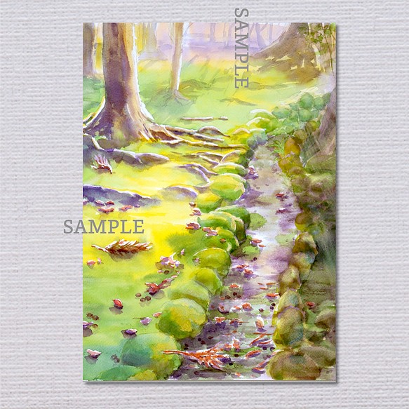 風景画 A4サイズ 透明水彩 アートポスター 癒し 『苔庭に木漏れ日