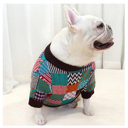 犬服　冬服新作　セーター　トイプードル　チワワ　柴犬　マルチーズ　ポメラニアン 1枚目の画像