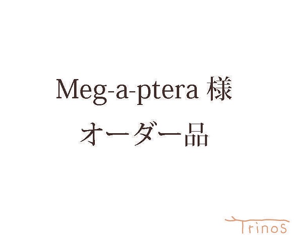 【Meg-a-ptera様オーダー品】 ヨーロッパコノハズクのスマホポーチ他 計5点 1枚目の画像