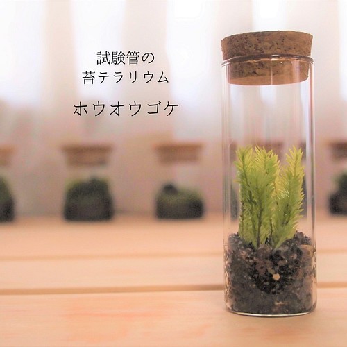 試験管の苔テラリウム ホウオウゴケ その他インテリア雑貨 Earth Green 通販 Creema クリーマ ハンドメイド 手作り クラフト作品の販売サイト