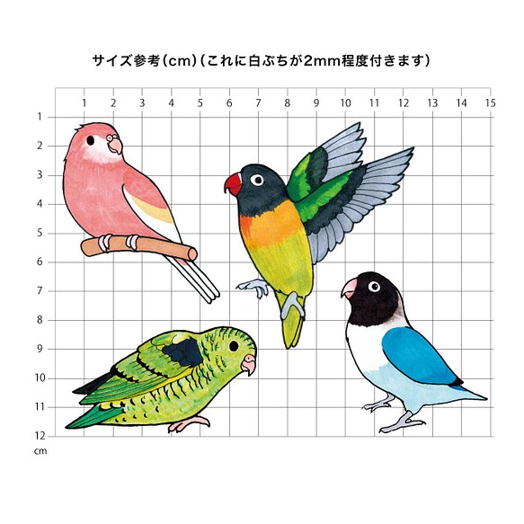 在庫あり 即納 傘にも貼れる 水に強いアキクサインコ サザナミインコ ボタンインコのシール