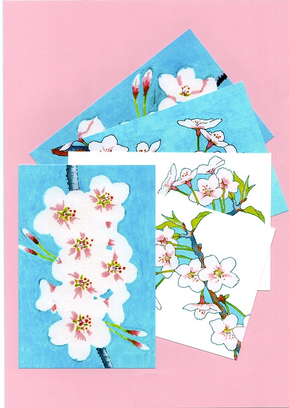 桜からのぞく青空 桜イラストポストカード5枚セット 送料無料 Lancasterdentistry Net