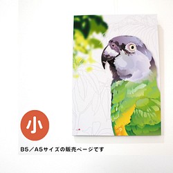 パネル作品【小】「Senegal Parrot」（A5・B5サイズ） 1枚目の画像