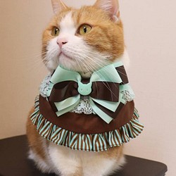 猫服 ケープ バレンタイン チョコ（ミント） 1枚目の画像