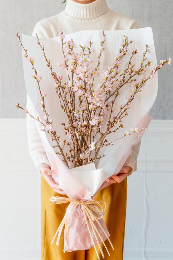 在庫処分セール おうちお花見に最適 本物のさくらの枝を可愛い色でラッピング おまかせ桜の枝60cm 10本セット 予約販売品